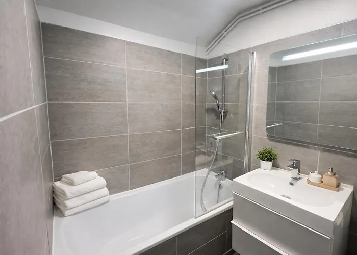 Le Perchoir De Picasso Gare Cosy Sous Les Toits 3 Pers Apartment Nancy